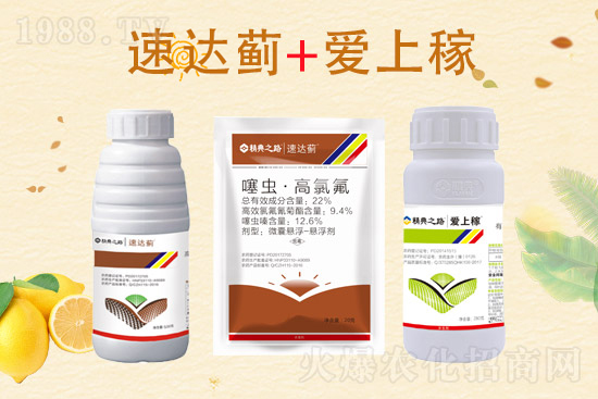 2022.4.11���ͪ���x���r���߄�