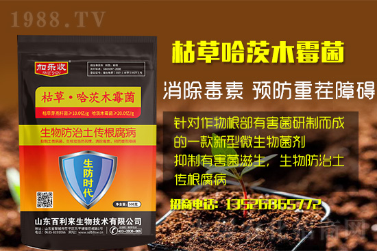 ���������l(f��)��ô���Σ���������ʲôˎ�÷���Ч������