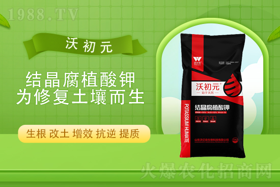 ����?q��ng)?b��o)�r(ji��)��2022��4��13�Տ�(f��)�Ϸ��Ј�(ch��ng)�r(ji��)��