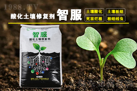 ���ڵ��������������r��4��14��