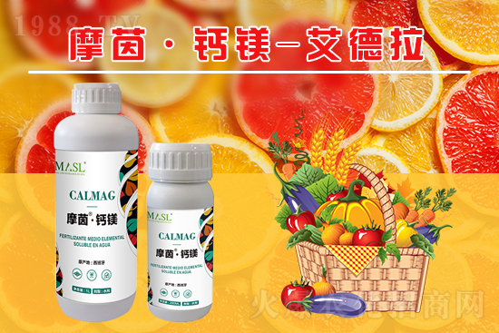 �����a(b��)�}�S���ځ���������a(b��)���}�V����