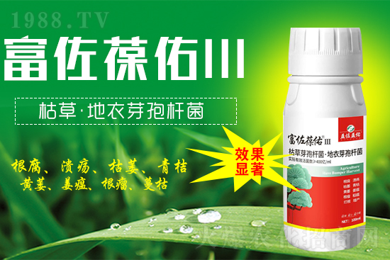 2022��4��19�ո����\�r(n��ng)ˎ�r(ji��)��