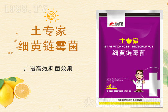 ���@�r�����ٝq�᣿4��2�ո������@�r��