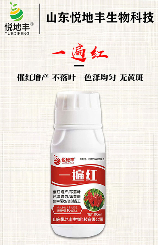 �����߼t��ʩ��ô�������������ǰ���У������߼tˎʲô�r������