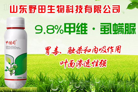 ��Сʳ���x��οƌW(xu��)��ˎ����Сʳ���x�l(f��)��ԭ�򼰷��ν��h��