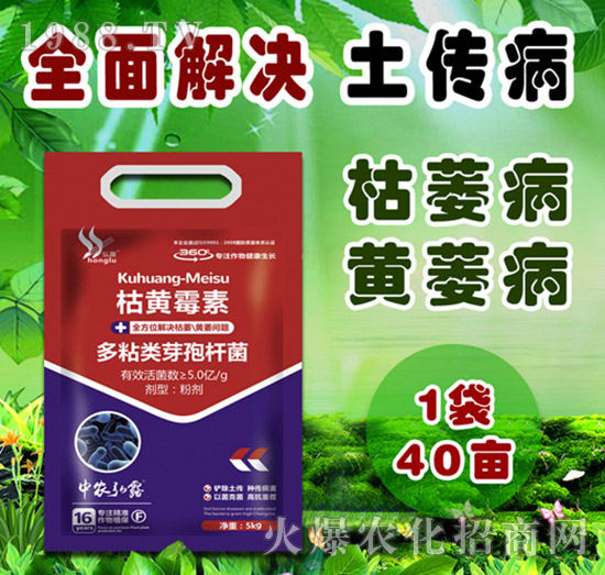     �����Բ�������Щ������ˎ����ô�x��һƪ�����f����