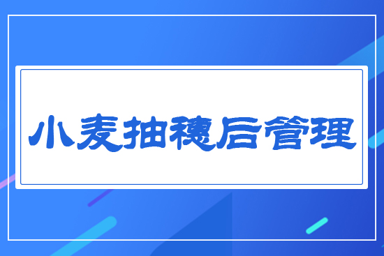 С������