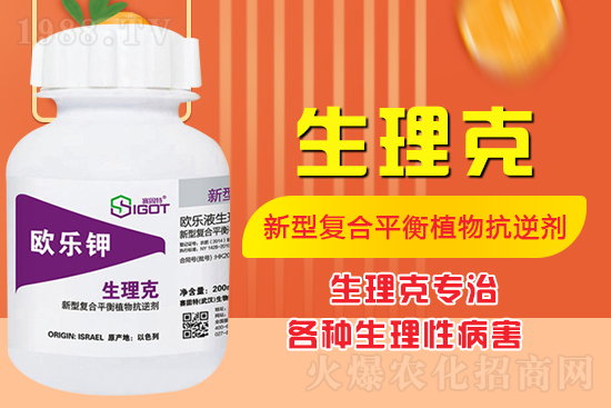 ����Ě������ʲô�Y���ô��Q����Ě������