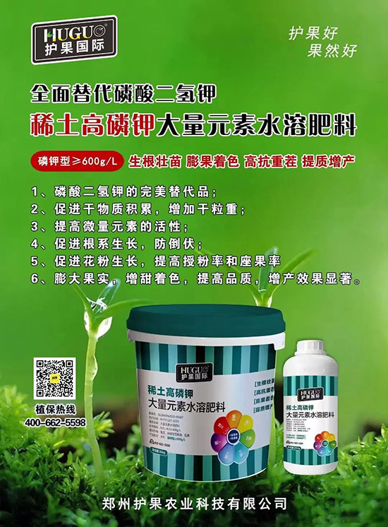 ⛷ʴ�q�r(ji��)���@�N⛷���ݶ��������������������ռ���f�Ј�