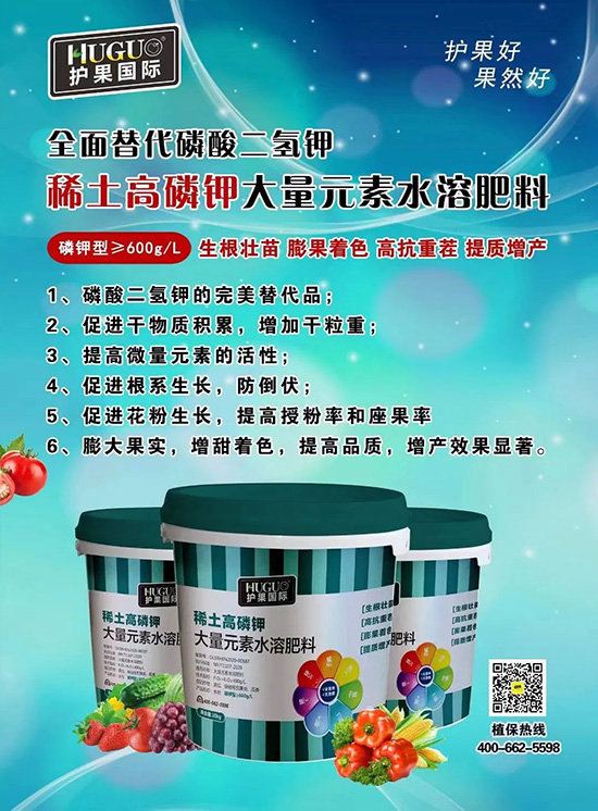 ⛷ʴ�q�r(ji��)���@�N⛷���ݶ��������������������ռ���f�Ј�