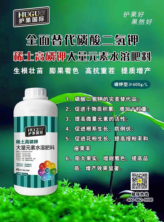 ⛷ʴ�q�r(ji��)���@�N⛷���ݶ��ϣ����������������ռ���f�Ј�