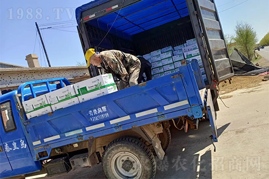 ���N��Ʒ����(sh��)���S�ң�����2̖�l(f��)؛��ͣЪ