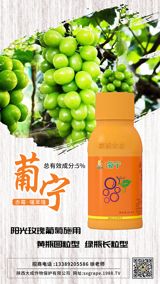 ������α����������p�ٴ�С�����@Щ�����ஔ��Ҫ��