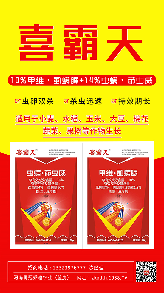 С�˶��������xΣ����̫�y�����@����ˎ��һ��һ��(g��)��(zh��n)!