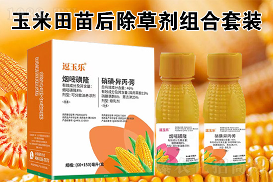 ���׳��݄���ô�������Ч��