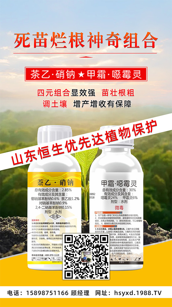 ���������������砀����������ġ�Ԫ�������@�ӷ����p�ɸ㶨��