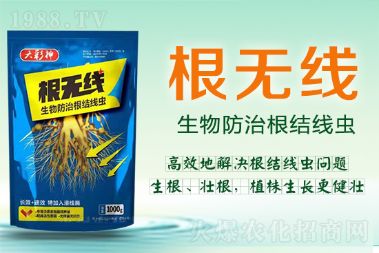 ���Y(ji��)���x�������ך��^�y���@�ӷ���Ч���õ��@�ˣ�