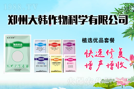 ����ˎ���ʺ��l�l(f��)��ô�k���l(f��)��ˎ���ʺ�����a����