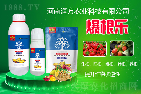     ���ϝ����r�I(y��)�Ƽ����޹�˾��΢�������-������-����ñ���Ɏ���ֲ�ｨ�����я���ĸ�ϵ�����Mֲ������B(y��ng)����ˮ���c���w�������������������������������Ѹ����B(y��ng)����������������