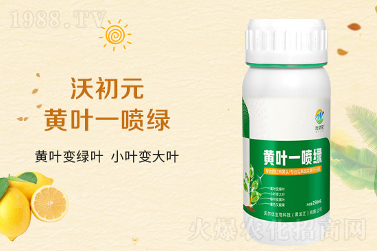 �����~Ƭ��ʲô�l(f��)�S��