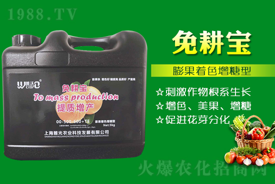 ���Ѵ߼t��ʩ��ô������ʲô������