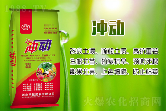 辣椒移栽后幼苗生長(zhǎng)緩慢的原因！