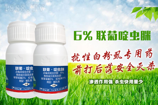 ���԰׷�ʭ�y�����y�����@����ˎ�x���p�������x��