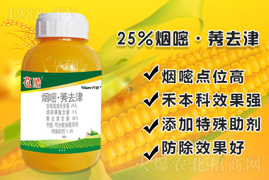 ���׳��ݣ��e���@�׷N���݄���