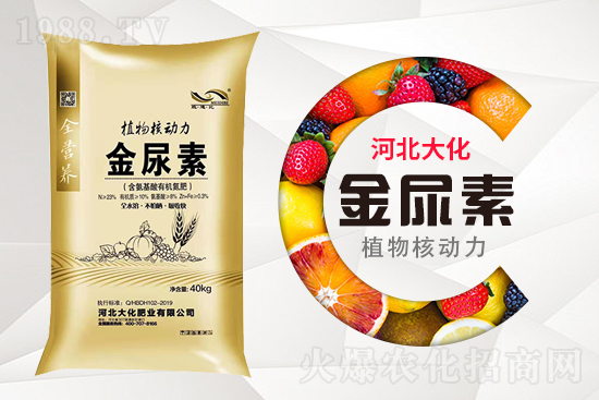 ���ص����ܲ������~�������ô����