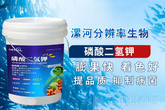 �~��ʵć�ʩ�`�^(q��)���@���c(di��n)�e������