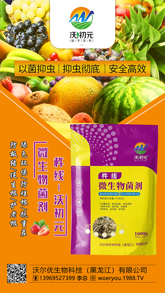 ����ĸ�ϵ���Q������Įa(ch��n)��