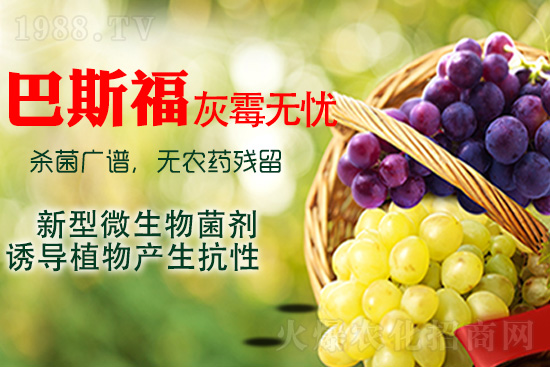 ���ѻ�ù��ԓ��ν�Q����ù����ˎ���h��