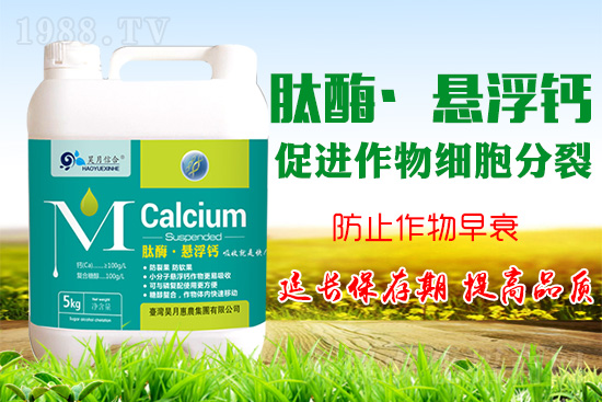 �O(p��ng)����(sh��)�����a(b��)�}���P(gu��n)�I���O(p��ng)���a(b��)�}���Ă�(g��)�`�^(q��)��֪������