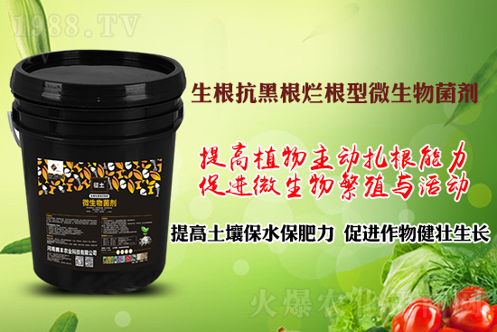 ����ڸ��������S�������l�l(f��)���á������p�ɽ�Q�����f�Nֲ����������