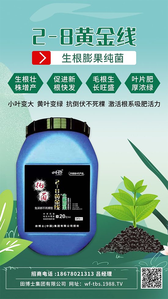 ���Ƿʵ��죬�f�����L����ϵ�����ﱬ�l(f��)����ԇԇ�@һ��! 