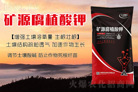 ����Nֲ��������(d��ng)�ׂ��������Ӹ��Ƹ�ϵ��r����