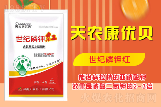 ���������ʲô���������˽����