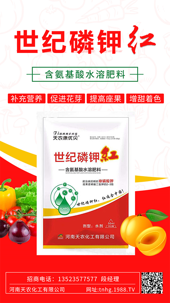 ���������ʲô���������˽����