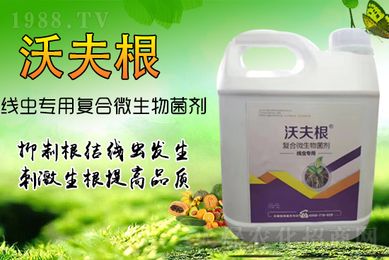 ���Y(ji��)���x��Ⱦ������������������������Ч����!