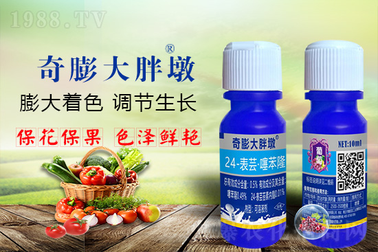     ������Ҫ�߮a(ch��n)��������P(gu��n)�I��������(sh��)���졢�D(zhu��n)ɫ�����u��������ڵĮa(ch��n)����Ʒ�|(zh��)�����������S��Ĺ��r(n��ng)���r(n��ng)������ӳ�Լҵ���������ס���������������������������������ܛ���չ�����r�l���l(f��)����