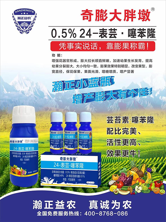     ������Ҫ�߮a(ch��n)��������P(gu��n)�I��������(sh��)���졢�D(zhu��n)ɫ�����u��ѣ����ڵĮa(ch��n)����Ʒ�|(zh��)�����������S��Ĺ��r(n��ng)���r(n��ng)������ӳ�Լҵ���������ס���������������������������������ܛ���չ�����r�l���l(f��)����