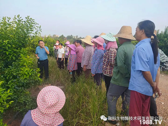 ���M(j��n)���g���^���������ٮa(ch��n)�I(y��)