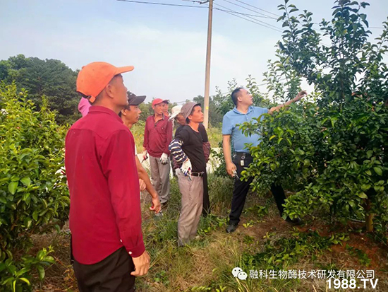 ���M(j��n)���g���^���������ٮa(ch��n)�I(y��)