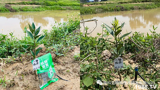 ���M(j��n)���g���^���������ٮa(ch��n)�I(y��)