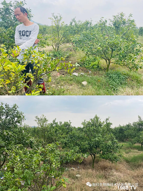 ���M(j��n)���g���^���������ٮa(ch��n)�I(y��)