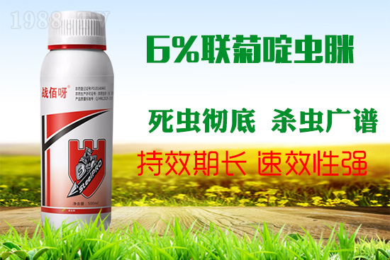 �������x���l(f��)�l��������ע����ǰ�������ׂ������p�ɸ㶨��