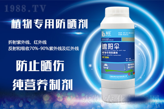 �ߜ������u������������E�[���쿴�������ˆ�? 