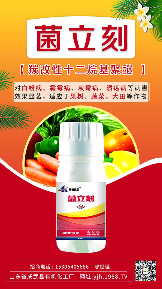 ����˪ù��߀�ǰ׷۲����e��ɵɵ�ֲ����ˣ���ηֱ漰������