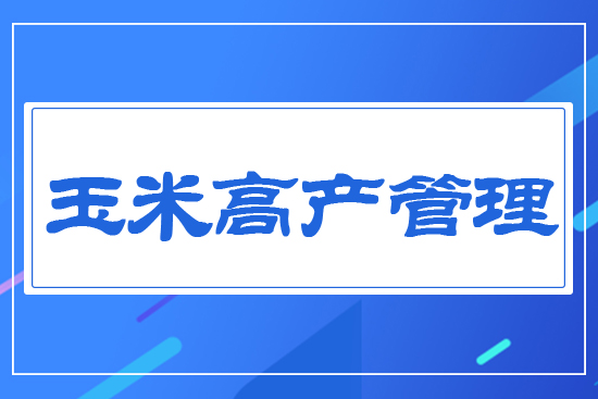 ���׸߮a(ch��n)����