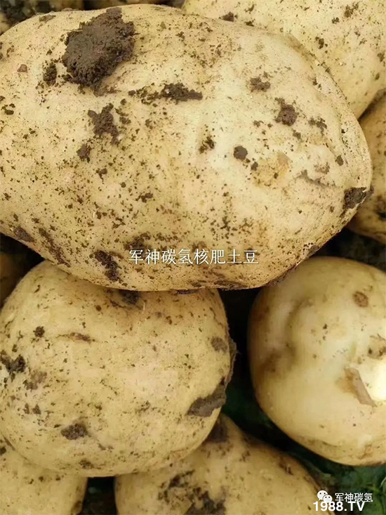 ɽ�|܊��̼?x��)�����Ƽ����޹��?7